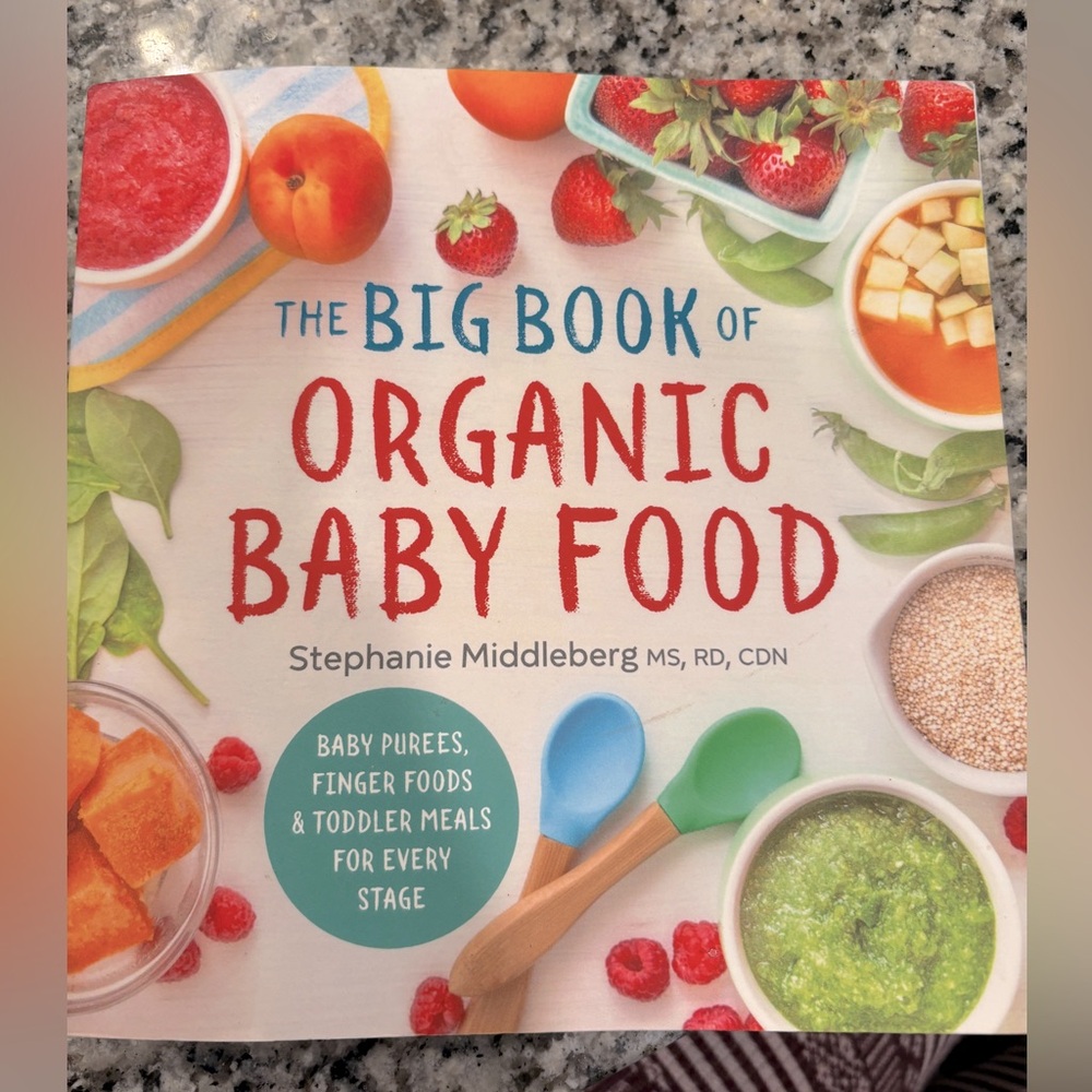 The Big Book of Organic Baby Food